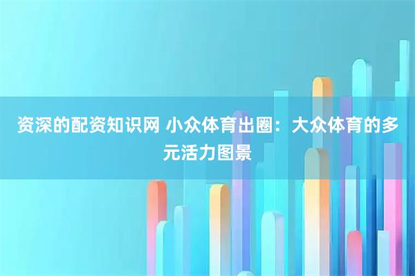 资深的配资知识网 小众体育出圈：大众体育的多元活力图景